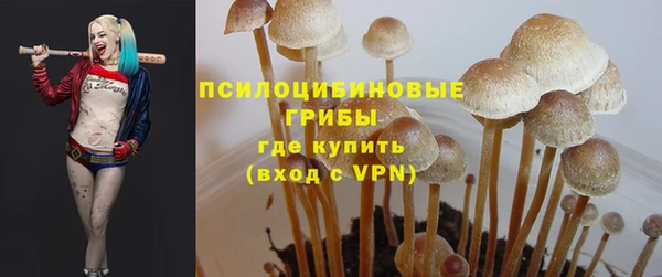 ECSTASY Аркадак